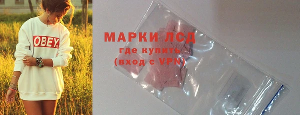 спайс Алзамай
