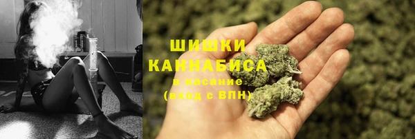 сатива Алексин