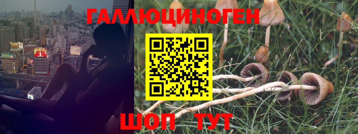 Псилоцибиновые грибы мухоморы  Вход с VPN  Евпатория  Псилоцибиновые грибы MAGIC MUSHROOMS 